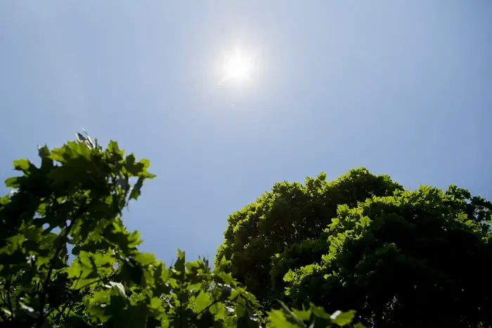 Norway Today souhaite à nos lecteurs le `` dieu sommer '' 315 Météo d'été à Oslo