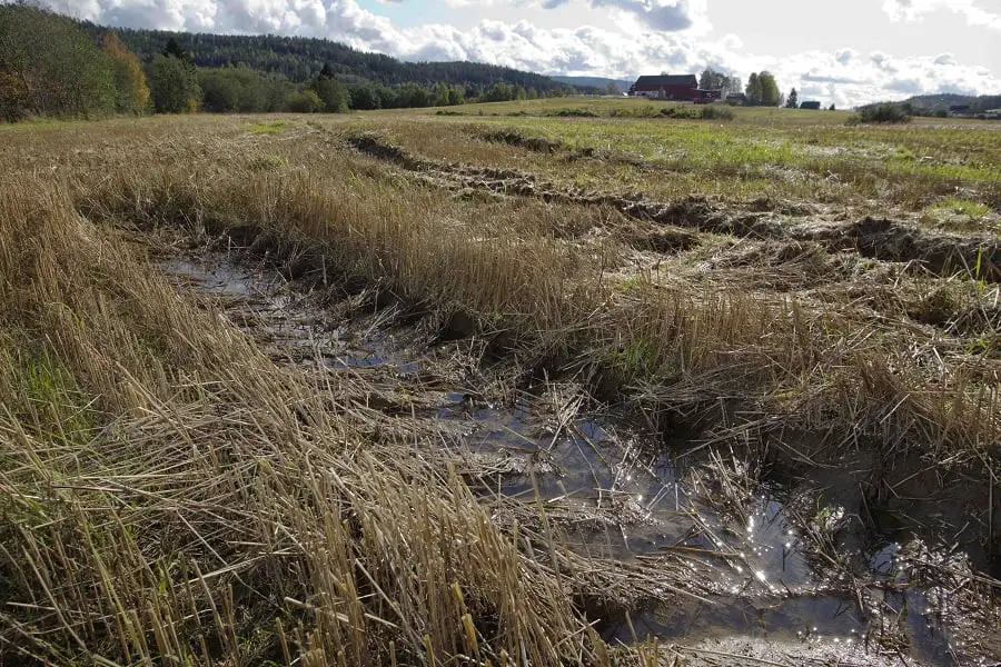 Norway Today souhaite à nos lecteurs le `` dieu sommer '' 268 Été pluvieux Fermiers de la Norvège occidentale