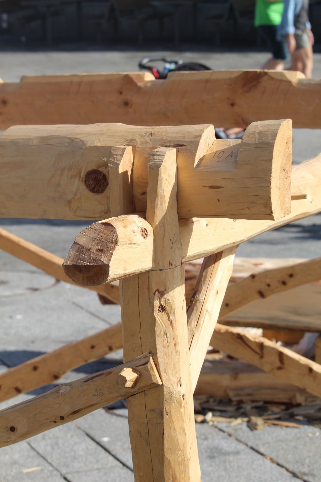 Courses de grands voiliers 2018, départ 583 Courses de grands voiliers 2018, départ - 582