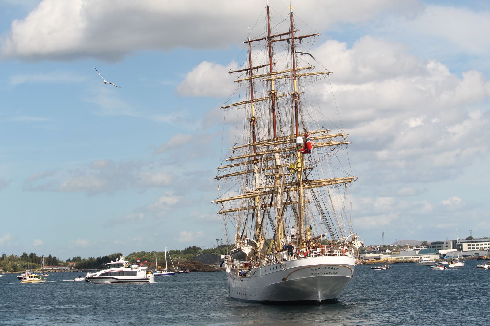 Courses de grands voiliers 2018, départ 599 Courses de grands voiliers 2018, départ - 598