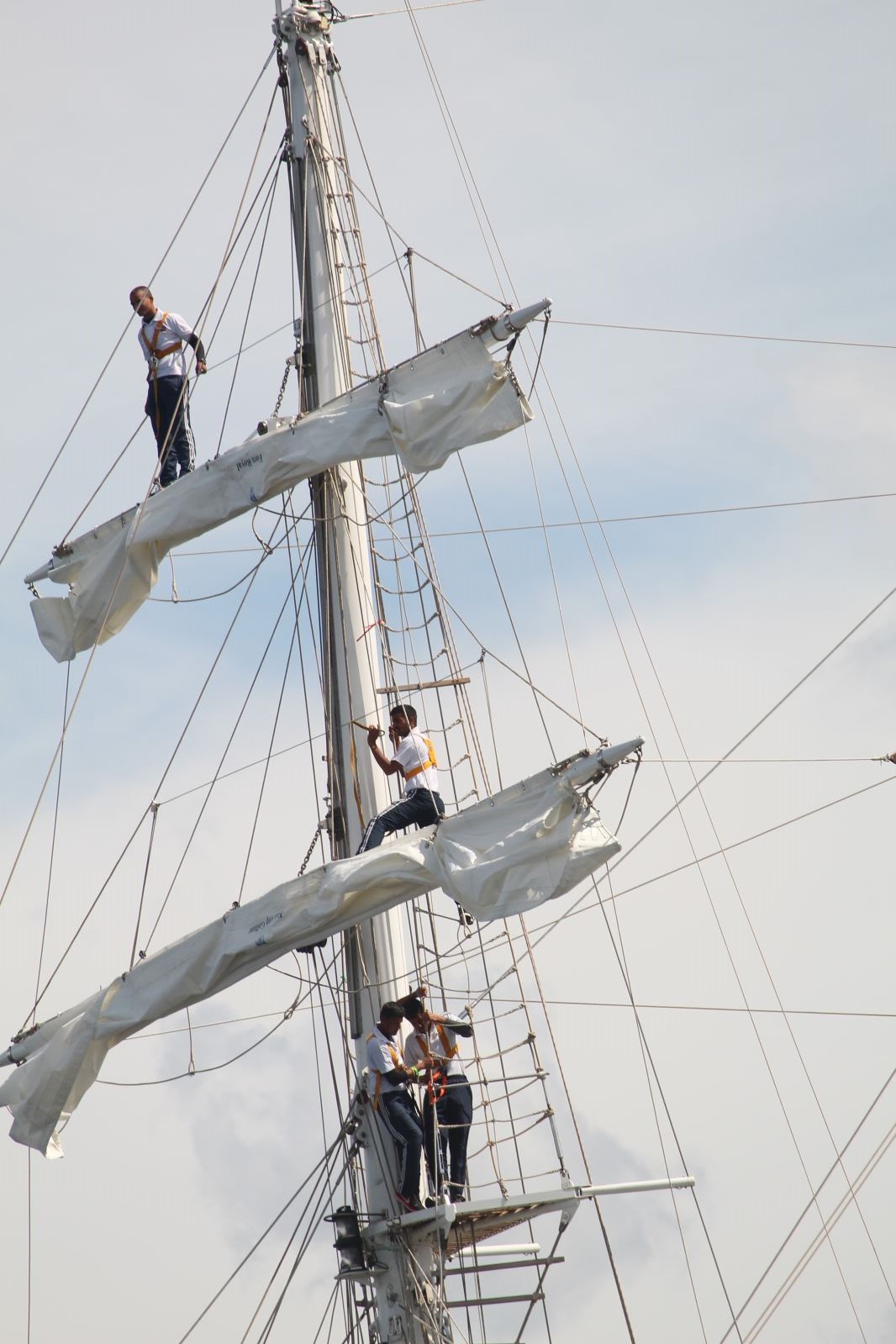 Courses de grands voiliers 2018, départ 757 Courses de grands voiliers 2018, départ - 756