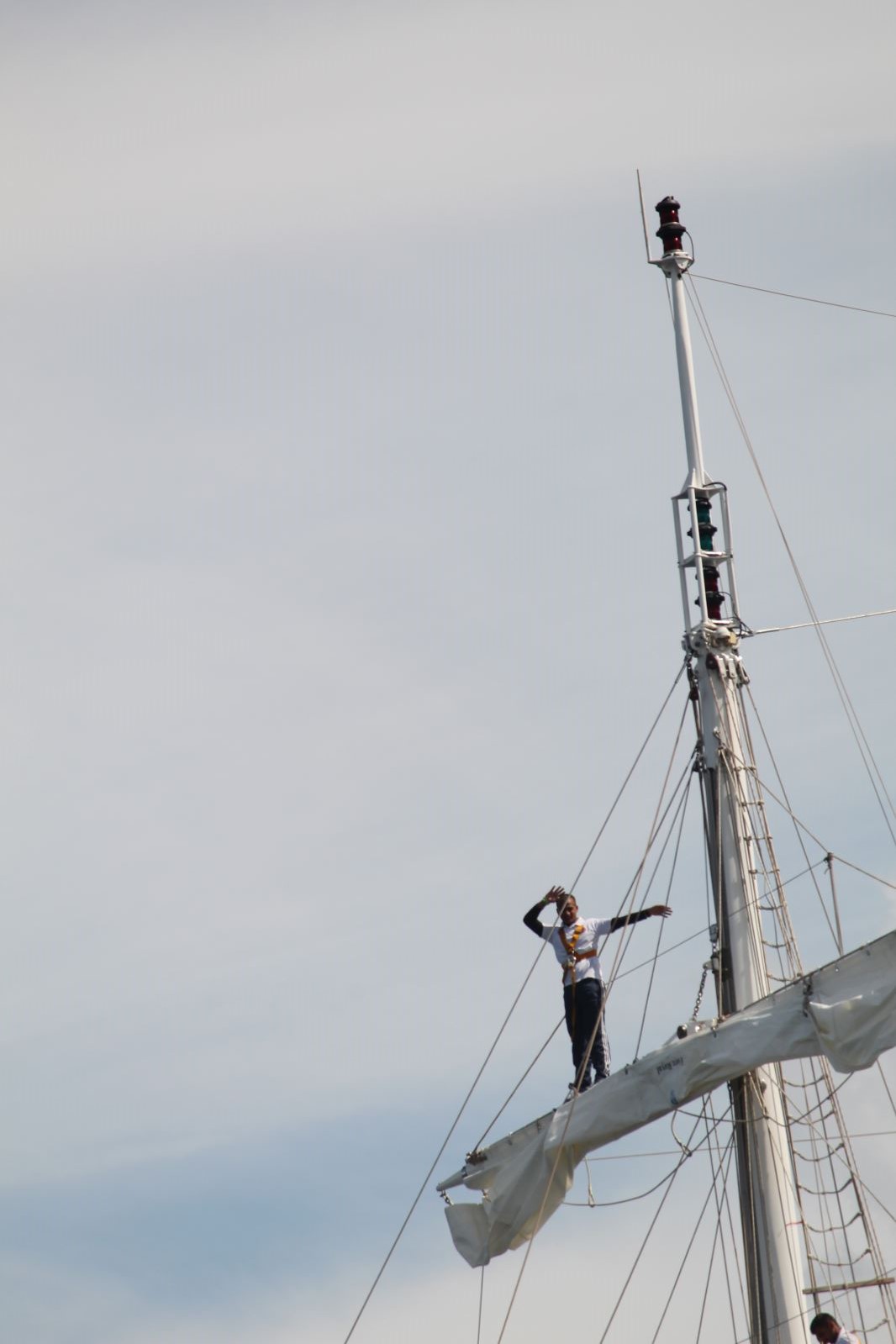 Courses de grands voiliers 2018, départ 755 Courses de grands voiliers 2018, départ - 754