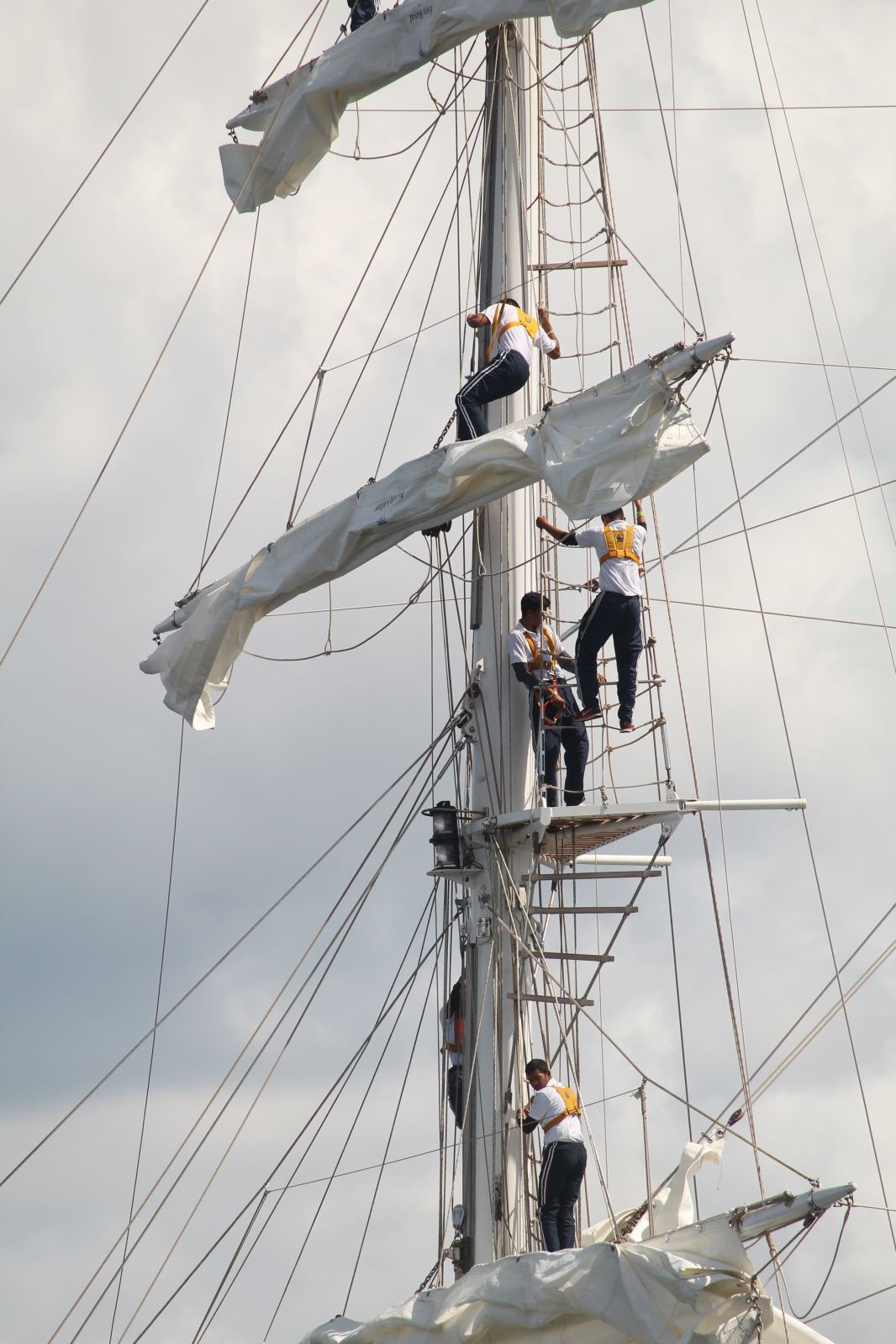 Courses de grands voiliers 2018, départ 759 Courses de grands voiliers 2018, départ - 758