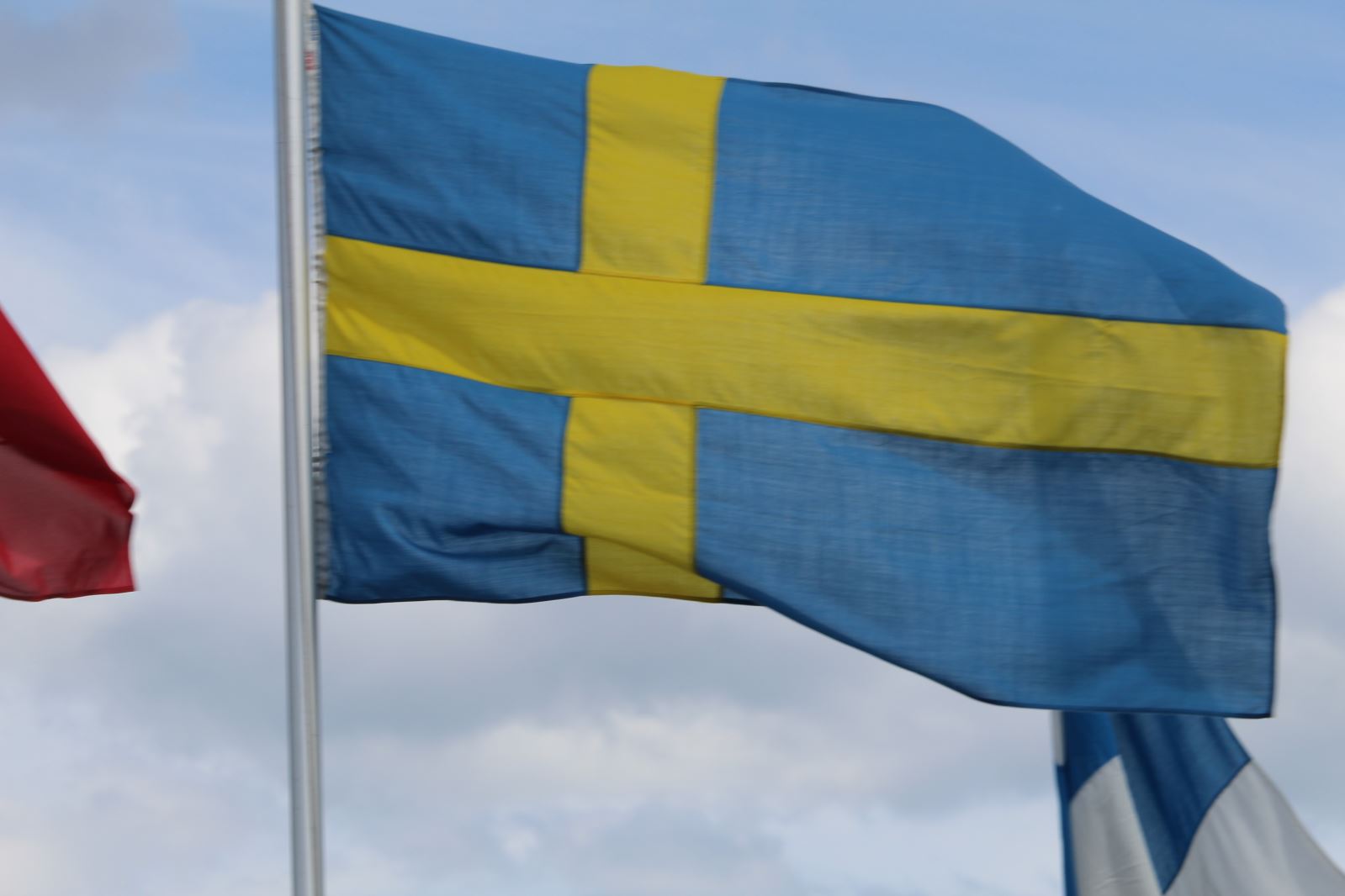 Courses de grands voiliers 2018, départ 795 Courses de grands voiliers 2018, départ - 794