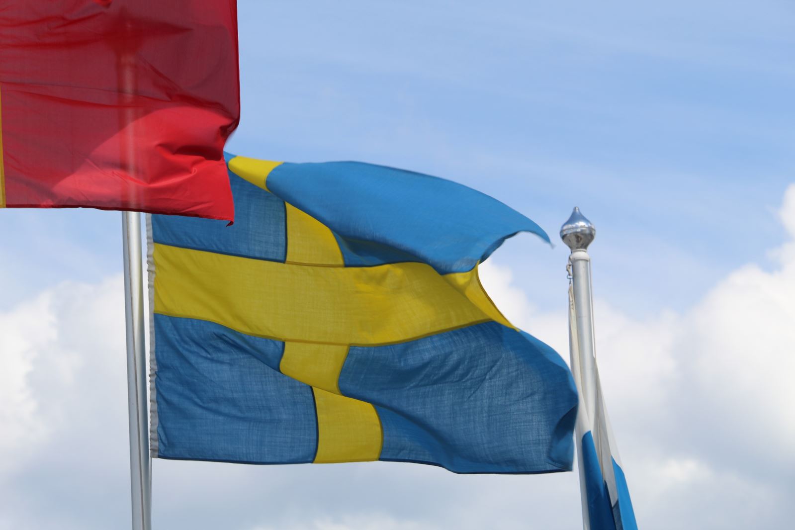 Courses de grands voiliers 2018, départ 797 Courses de grands voiliers 2018, départ - 796