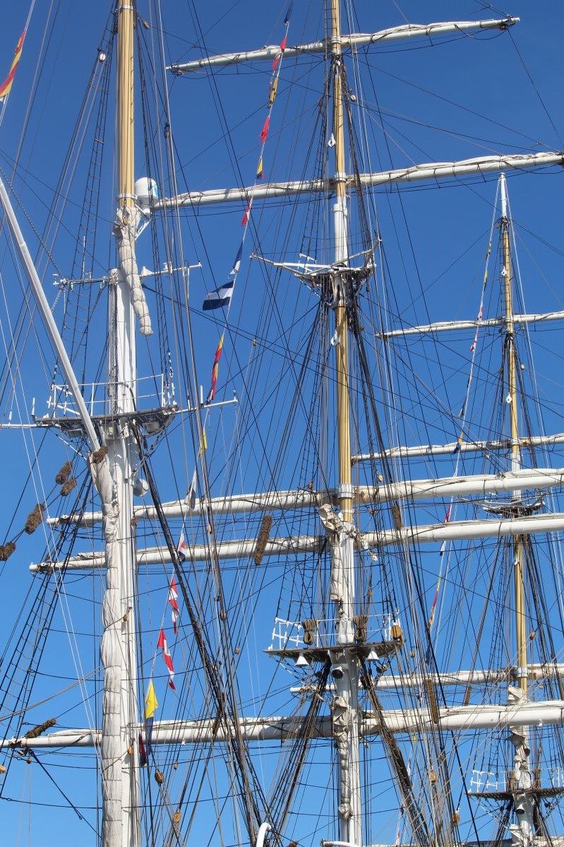 Les courses de grands voiliers arrivent à Vågen 778 Les courses de grands voiliers arrivent à Vågen - 777