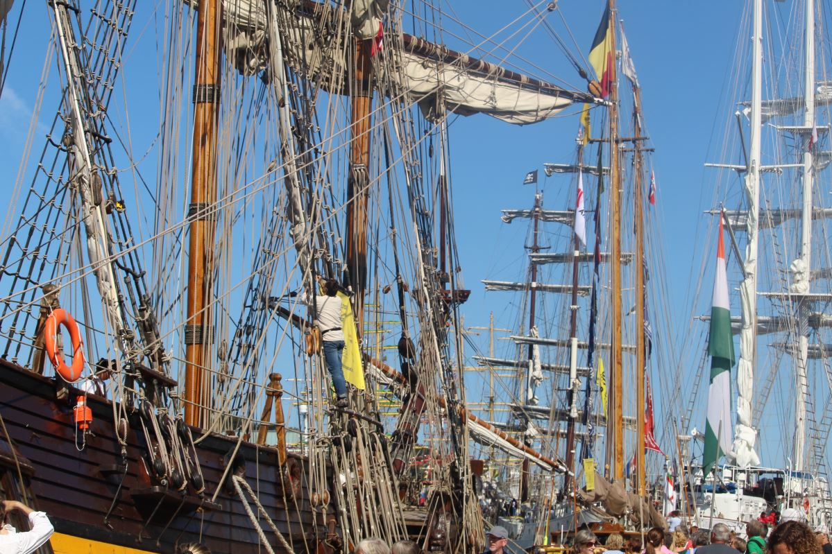 Les courses de grands voiliers arrivent à Vågen 824 Les courses de grands voiliers arrivent à Vågen - 823