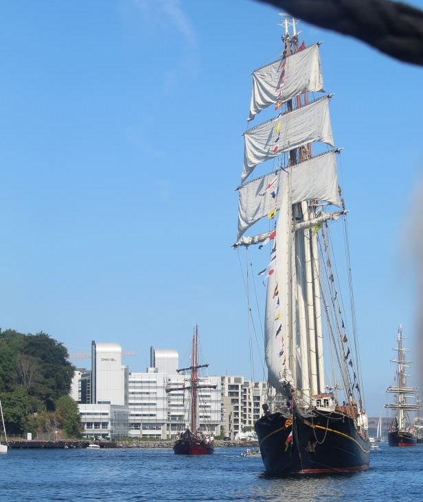 Les courses de grands voiliers arrivent à Vågen 1142 Les courses de grands voiliers arrivent à Vågen - 1141