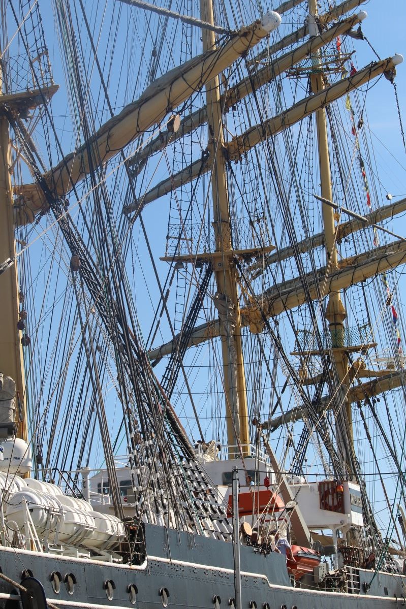 Les courses de grands voiliers arrivent à Vågen 1144 Les courses de grands voiliers arrivent à Vågen - 1143