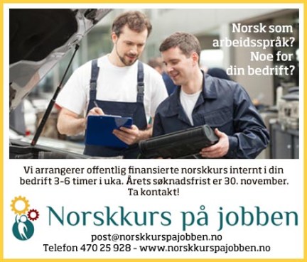 Hauglie vise à interdire l'exportation des prestations sociales 7 publicité pour norskkurspajobben.no
