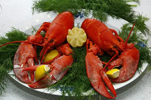 Limitations de la pêche au homard - Norway Today 7 Pêche au homard