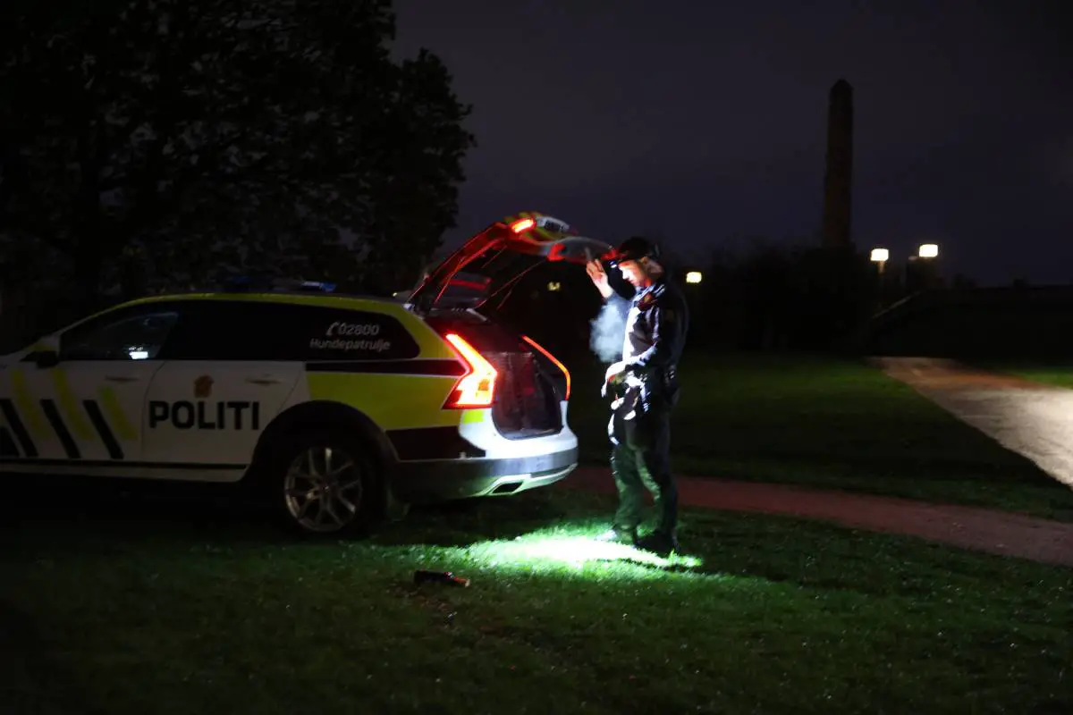 PHOTO: deux jeunes hommes blessés après une bagarre à Frognerparken à Oslo 10 PHOTO: deux jeunes hommes blessés après une bagarre à Frognerparken à Oslo - 9