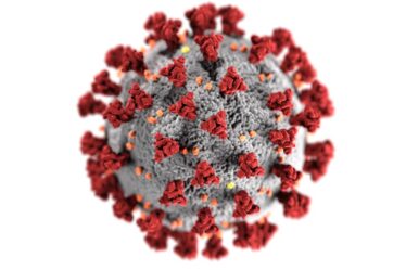 Une nouvelle variante de coronavirus découverte à Trondheim - 18