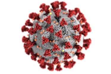 Une nouvelle variante de coronavirus découverte à Trondheim - 16