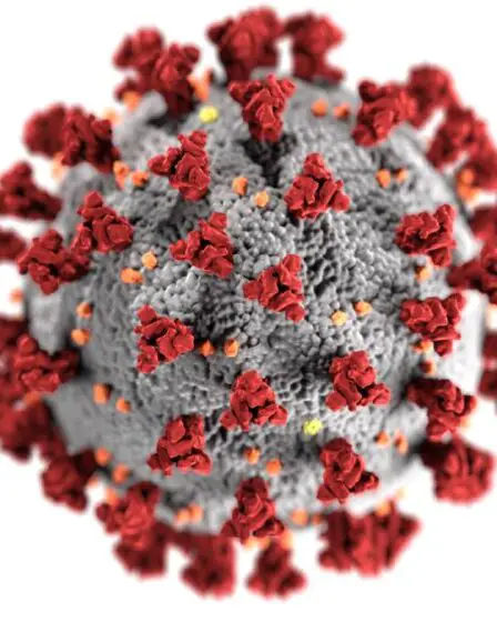 VG: Le coronavirus muté a été détecté dans cinq endroits en Norvège, dont Viken et Agder 17 VG: Le coronavirus muté a été détecté dans cinq endroits en Norvège, dont Viken et Agder - 16