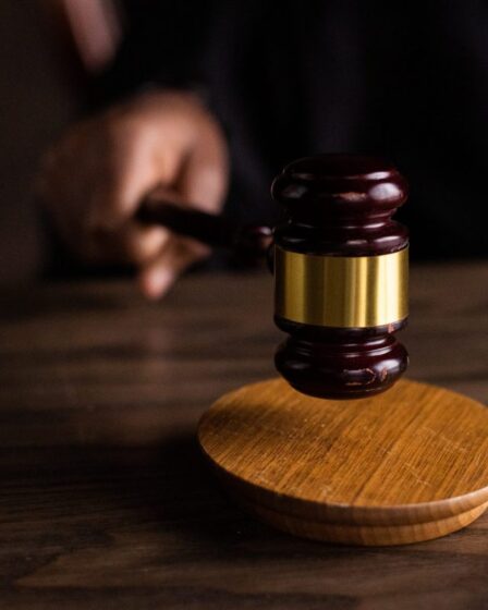 Les organisations environnementales norvégiennes perdent une affaire climatique devant la Cour suprême 20 Les organisations environnementales norvégiennes perdent une affaire climatique devant la Cour suprême - 19