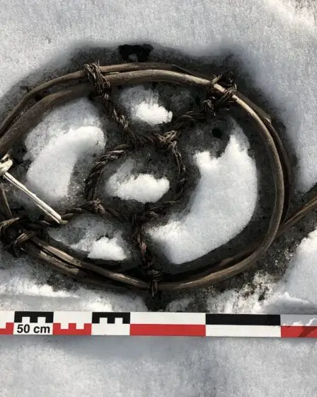 PHOTOS Des trésors vikings découverts dans un col perdu 14 PHOTOS Des trésors vikings découverts dans un col perdu - 13