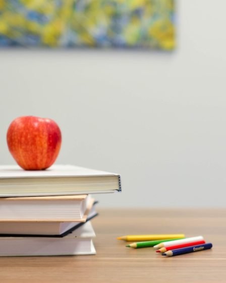 Baisse de la popularité des langues étrangères auprès des étudiants norvégiens 15 Baisse de la popularité des langues étrangères auprès des étudiants norvégiens - 14