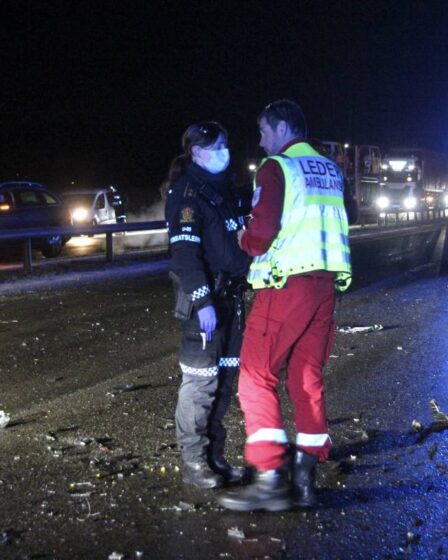 Une femme dans la quarantaine et une mineure meurent dans un accident de la circulation en Alta - 34