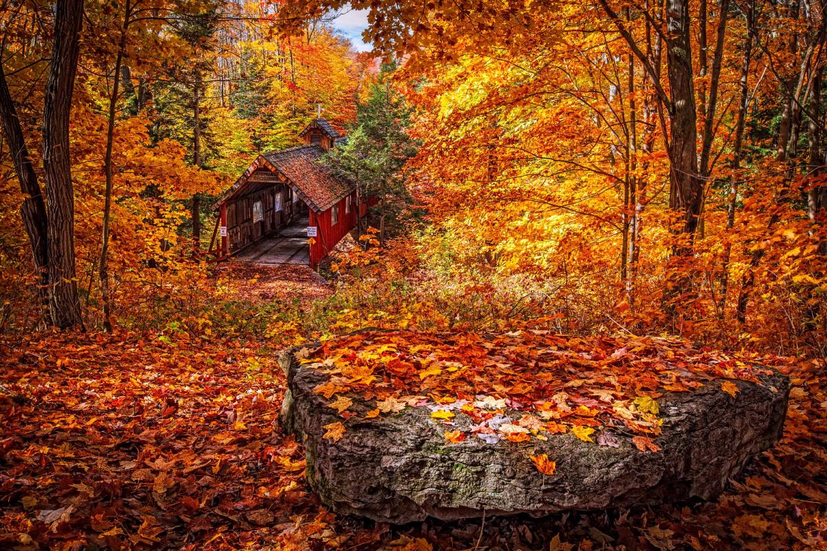 Les Norvégiens peuvent s'attendre à un temps magnifique le week-end alors que les vacances d'automne commencent 4 Les Norvégiens peuvent s'attendre à un temps magnifique le week-end alors que les vacances d'automne commencent - 3