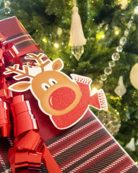 Vous vous demandez ce que les Norvégiens achètent pour ce Noël? Nous avons ce qu'il vous faut 29 Vous vous demandez ce que les Norvégiens achètent pour ce Noël? Nous avons ce qu'il vous faut - 28