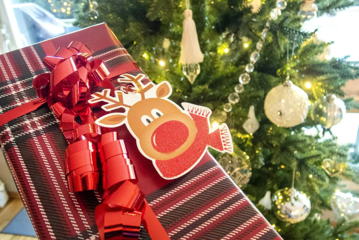 Vous vous demandez ce que les Norvégiens achètent pour ce Noël? Nous avons ce qu'il vous faut 4 Vous vous demandez ce que les Norvégiens achètent pour ce Noël? Nous avons ce qu'il vous faut - 3