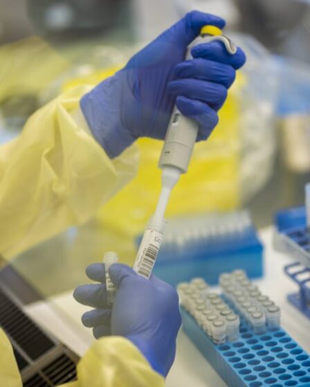 Virus britannique muté détecté à Haugesund, plusieurs centaines de personnes doivent être testées - 22