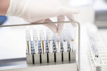 La Norvège enregistre le plus grand nombre de patients corona hospitalisés depuis fin mai - 16
