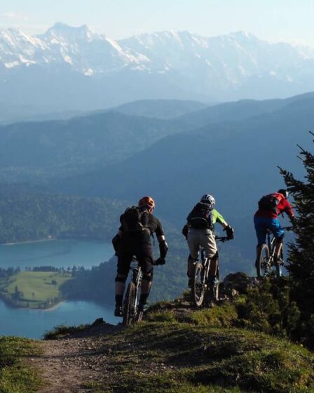 Les ventes d'équipements de sport et de loisirs en ligne en Norvège ont augmenté de 90% pendant la crise corona 22 Les ventes d'équipements de sport et de loisirs en ligne en Norvège ont augmenté de 90% pendant la crise corona - 21