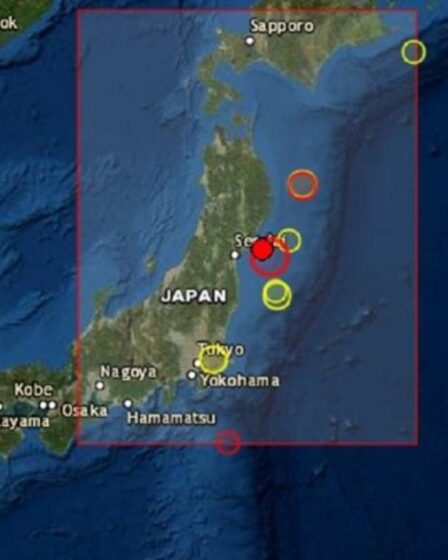 Un séisme de magnitude 7,2 frappe le nord-est du Japon et un avertissement au tsunami est émis - 7