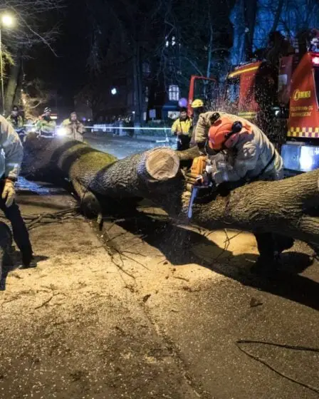 Le temps d'automne cause des problèmes à Oslo et à Viken, des arbres tombés bloquent la circulation - 28