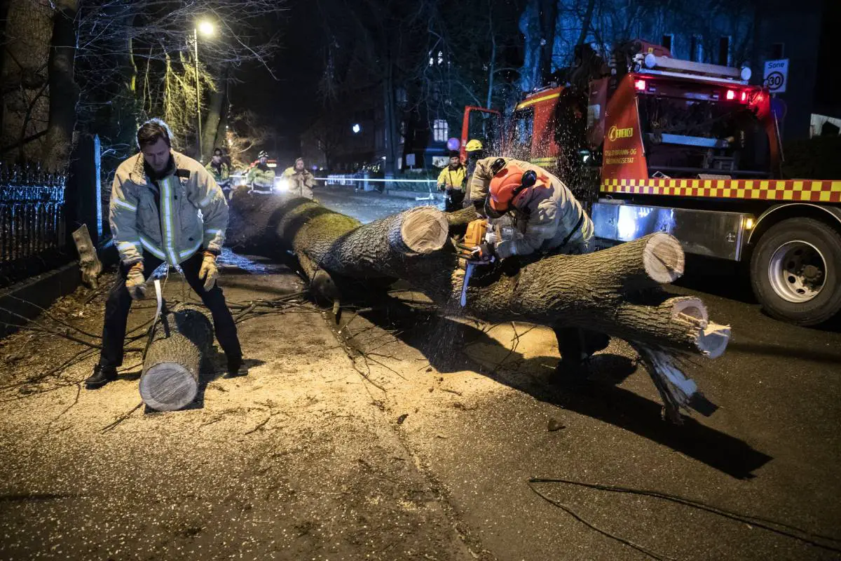 Le temps d'automne cause des problèmes à Oslo et à Viken, des arbres tombés bloquent la circulation 4 Le temps d'automne cause des problèmes à Oslo et à Viken, des arbres tombés bloquent la circulation - 3