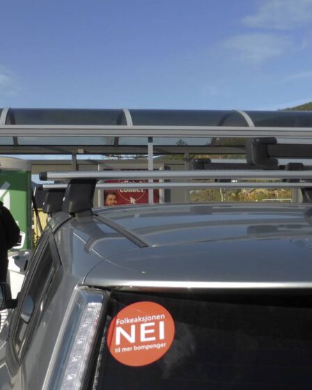 Stations-service norvégiennes: il est trop cher de construire des chargeurs rapides pour les véhicules électriques - 16