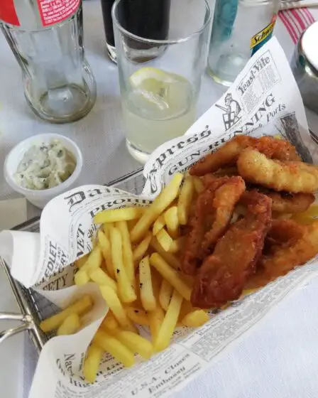 Langue, santé et humour: un guide britannique sur l'émigration norvégienne 5 Langue, santé et humour: un guide britannique sur l'émigration norvégienne - 4