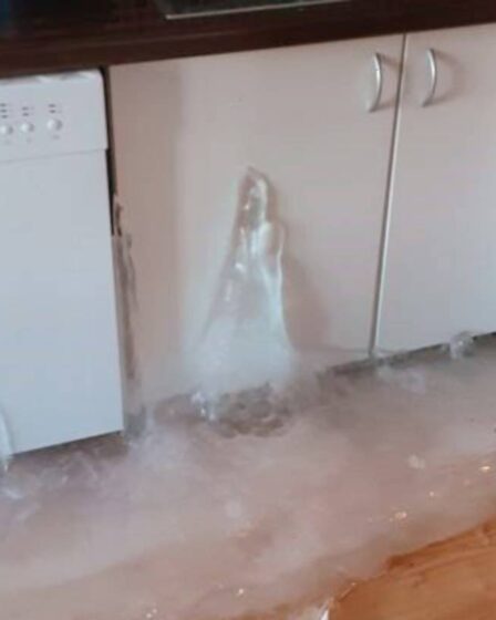 Au cours des dix derniers jours, les Norvégiens ont signalé des dommages dus au gel s'élevant à 200 millions de couronnes 5 Au cours des dix derniers jours, les Norvégiens ont signalé des dommages dus au gel s'élevant à 200 millions de couronnes - 4