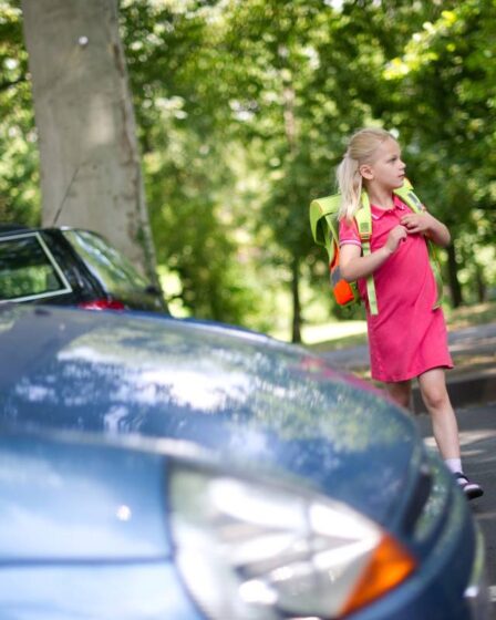 Aucun enfant et conducteur de cyclomoteur n'est mort dans la circulation en Norvège l'année dernière 2 Aucun enfant et conducteur de cyclomoteur n'est mort dans la circulation en Norvège l'année dernière - 1