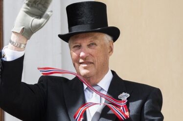 Indécis si la famille royale marquera le 17 mai sur le balcon du château - 20