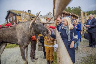 La princesse héritière de Vågå: - C'est l'un des meilleurs de Norvège - 20