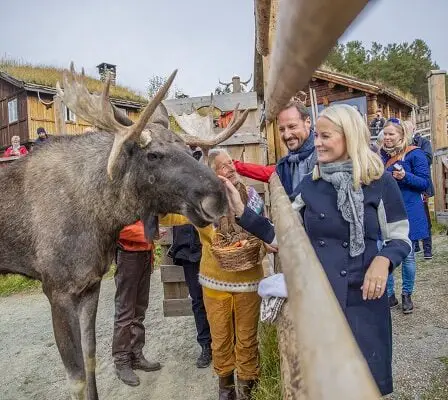 La princesse héritière de Vågå: - C'est l'un des meilleurs de Norvège 5 La princesse héritière de Vågå: - C'est l'un des meilleurs de Norvège - 4