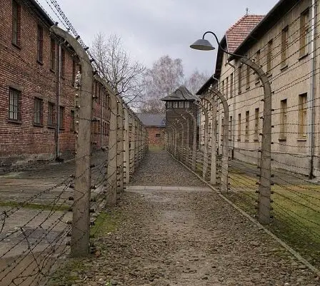 Les élèves des écoles norvégiennes peuvent recevoir des bourses de voyage pour visiter les camps de concentration 11 Les élèves des écoles norvégiennes peuvent recevoir des bourses de voyage pour visiter les camps de concentration - 10