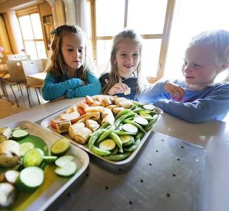 Les enfants devraient se voir offrir des repas sains à l'école 5 Les enfants devraient se voir offrir des repas sains à l'école - 4