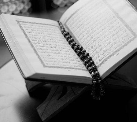Les musulmans norvégiens distribueront 10000 exemplaires du Coran - 28