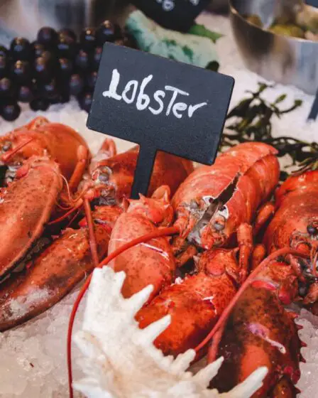 Octobre a été le troisième mois de la valeur des exportations de fruits de mer la plus élevée de l'histoire de la Norvège 2 Octobre a été le troisième mois de la valeur des exportations de fruits de mer la plus élevée de l'histoire de la Norvège - 1