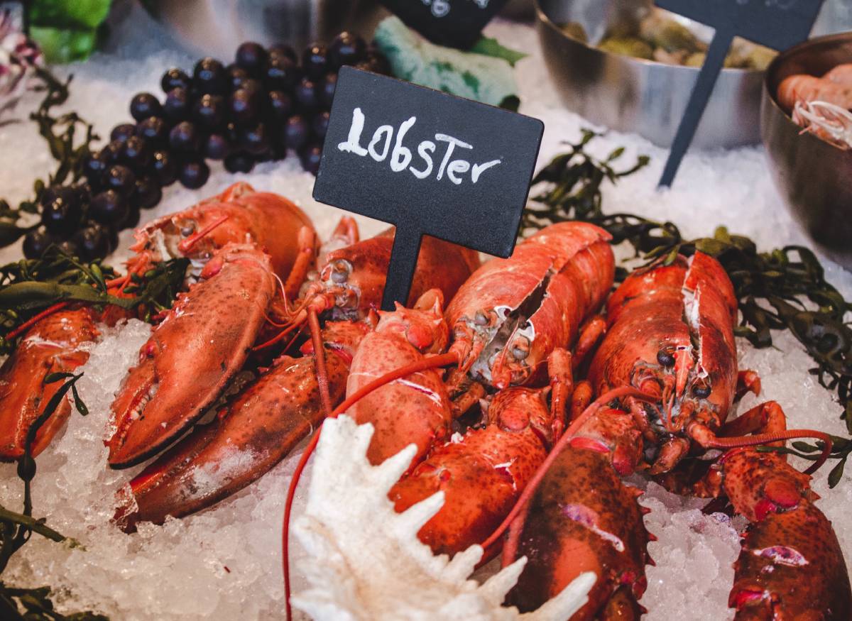Octobre a été le troisième mois de la valeur des exportations de fruits de mer la plus élevée de l'histoire de la Norvège 4 Octobre a été le troisième mois de la valeur des exportations de fruits de mer la plus élevée de l'histoire de la Norvège - 3