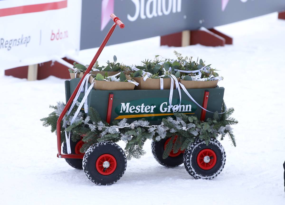Effet de verrouillage: Mester Grønn licencie 350 employés 4 Effet de verrouillage: Mester Grønn licencie 350 employés - 3