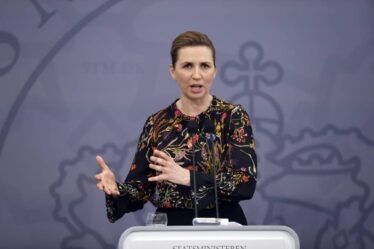 Le Premier ministre danois promet de présenter un plan à long terme pour rouvrir le pays dans les deux semaines - 18