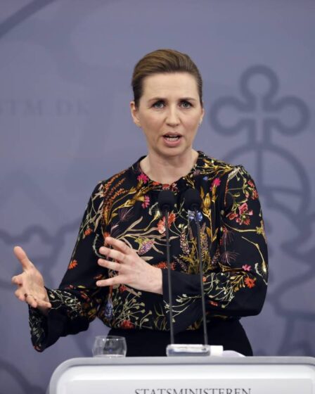 Le Premier ministre danois promet de présenter un plan à long terme pour rouvrir le pays dans les deux semaines 14 Le Premier ministre danois promet de présenter un plan à long terme pour rouvrir le pays dans les deux semaines - 13