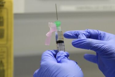 Le vaccin corona danois prêt à être testé sur l'homme - 18