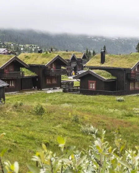 De plus en plus de Norvégiens vont camper ou se rendre au chalet pendant la pandémie 5 De plus en plus de Norvégiens vont camper ou se rendre au chalet pendant la pandémie - 4
