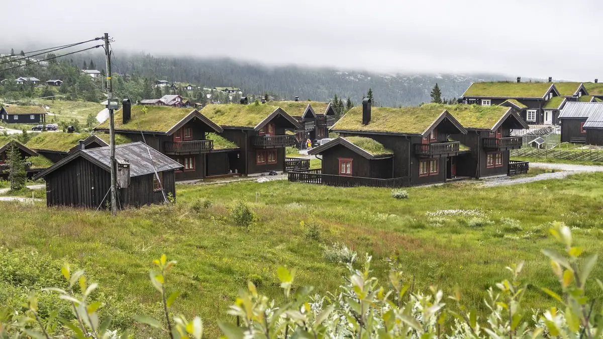 De plus en plus de Norvégiens vont camper ou se rendre au chalet pendant la pandémie 4 De plus en plus de Norvégiens vont camper ou se rendre au chalet pendant la pandémie - 3